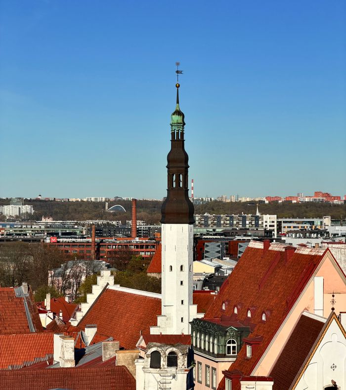 services-02 Stunning view of Tallinn's Old Town with a historical church spire against a clear blue sky.